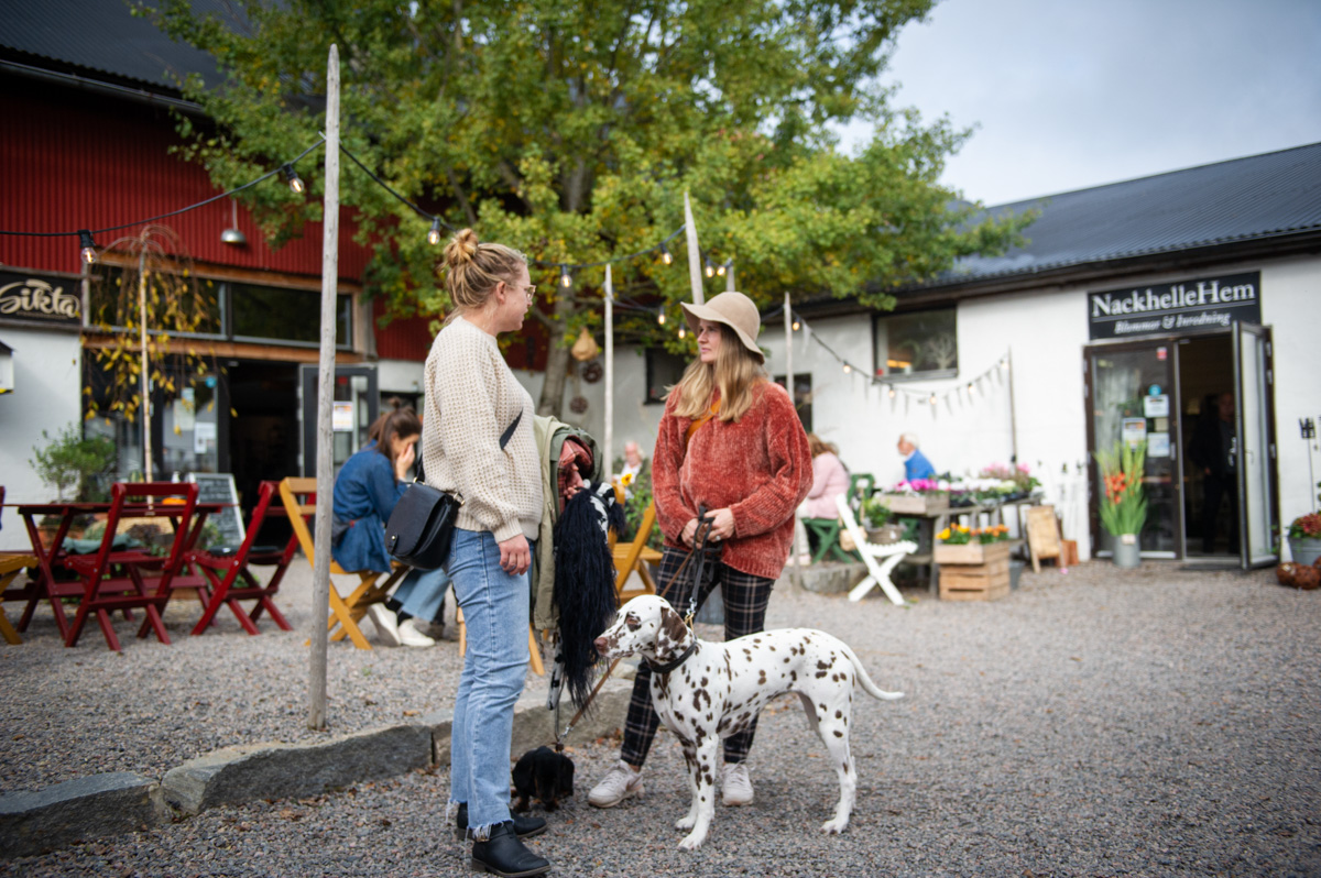 översiktsbild en gårdsplan med café