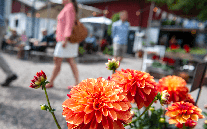 orange blommor i förgrunden och folk suddigt i bakgrunden som går runt o handlar